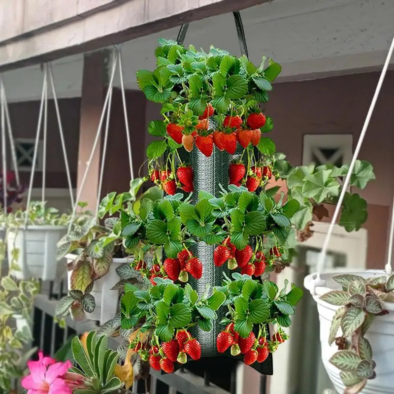 Multi-Function Hanging Tomato Grow Bag Upside Down Planter Strawberry Vegetable Flower Plant Grow Bags Garden Plant Pot